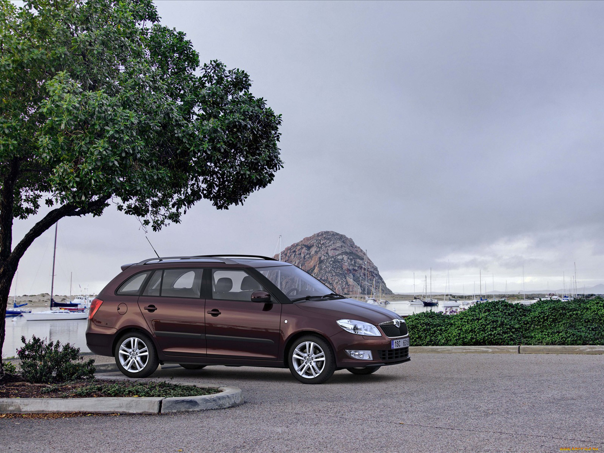 , skoda, fabia, combi